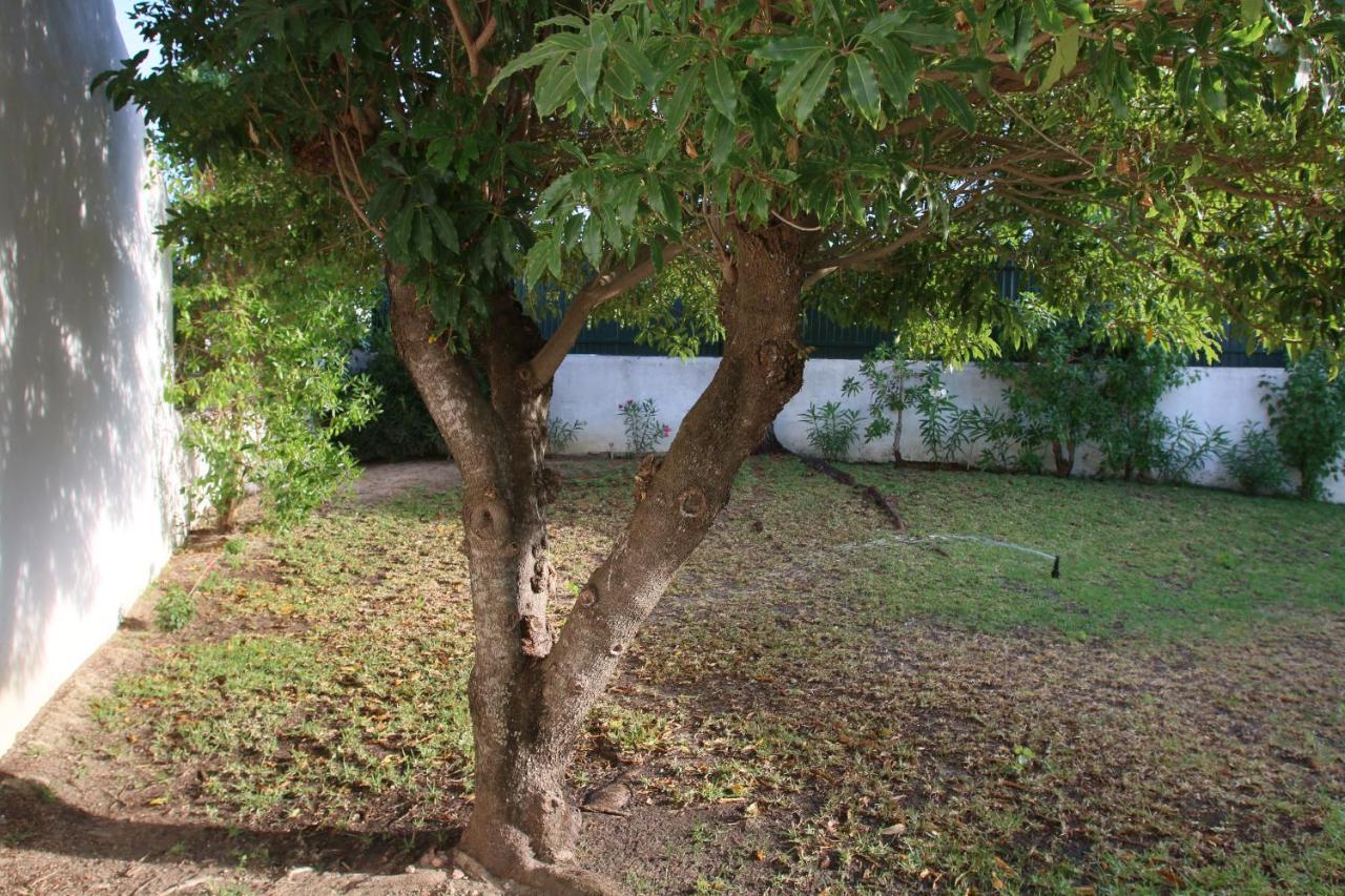 Villa Jacaranda - 550M From The Beach - Free Wifi - By Bedzy البوفيرا المظهر الخارجي الصورة